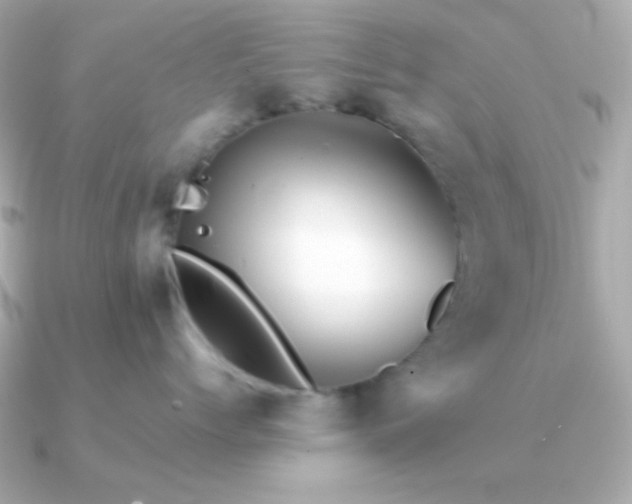 X0000091340768200708101443