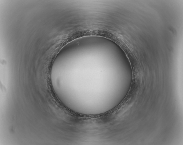 X0000091340769200708101443