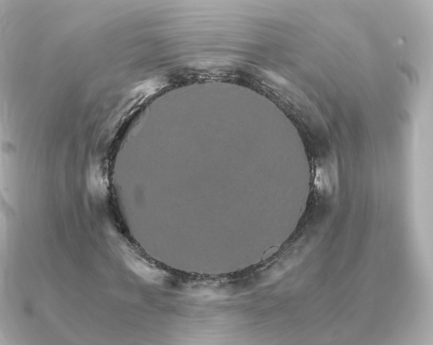 X0000091340771200708101443