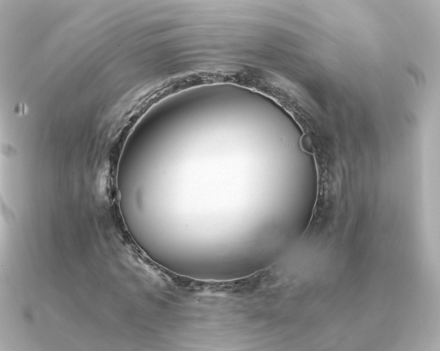 X0000091340773200708101443