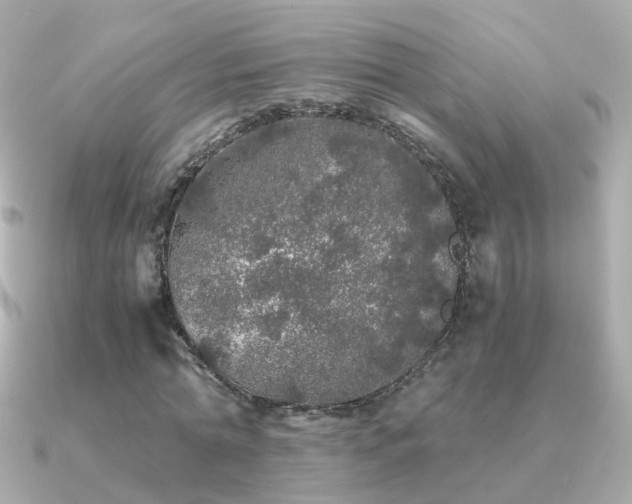 X0000091340774200708101443