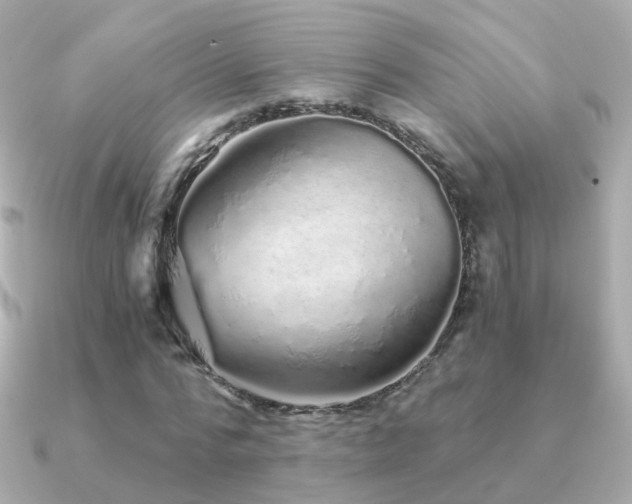 X0000091340776200708101443