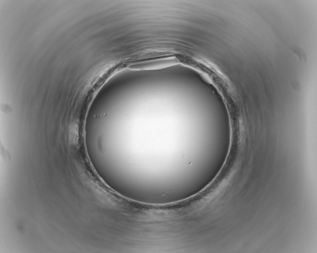 X0000091340777200708101443