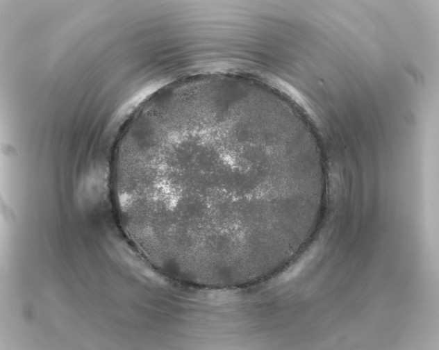 X0000091340778200708101443