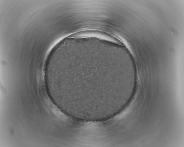 X0000091340779200708101443