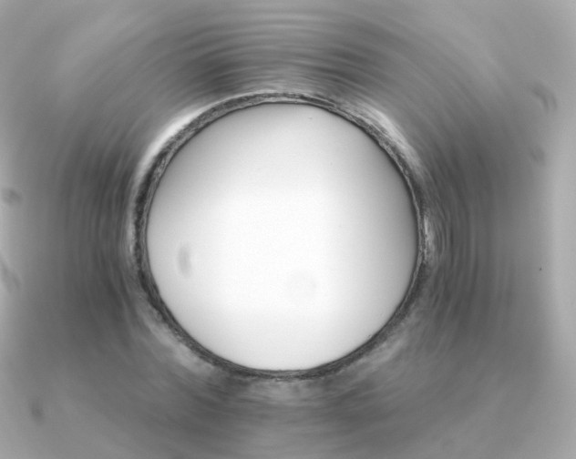 X0000091340780200708101443