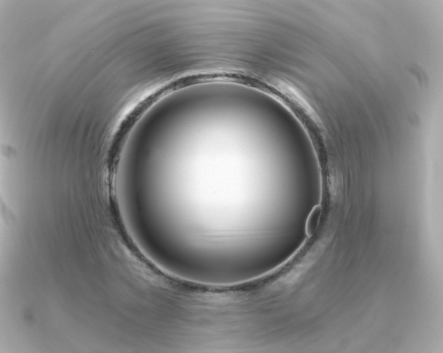 X0000091340781200708101443