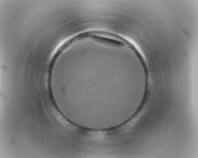 X0000091340783200708101443