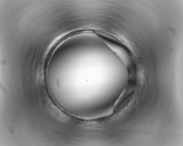 X0000091340784200708101443