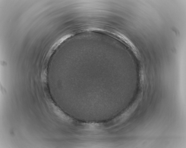 X0000091340785200708101443