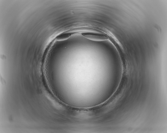 X0000091340786200708101443