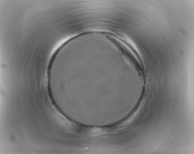 X0000091340787200708101443