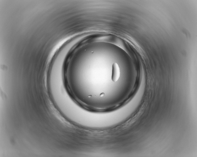X0000091340788200708101443
