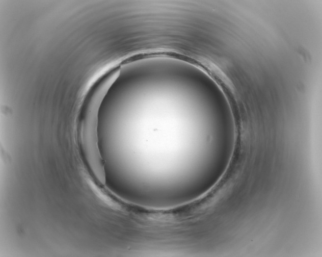 X0000091340789200708101443