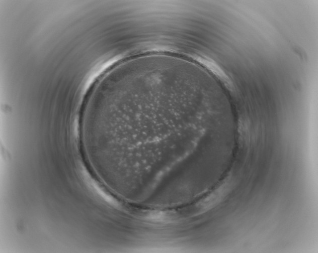X0000091340790200708101443