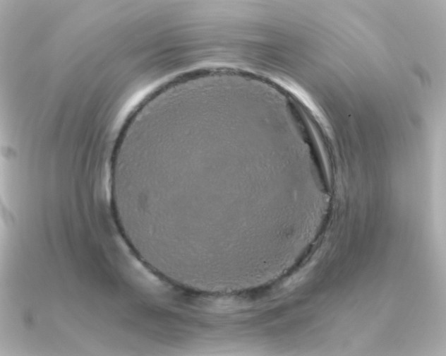 X0000091340791200708101443