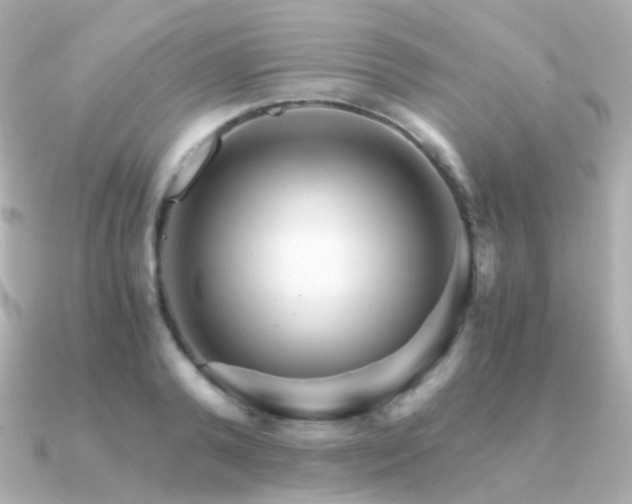 X0000091340792200708101443
