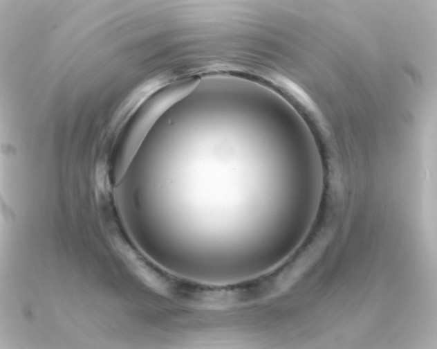X0000091340793200708101443