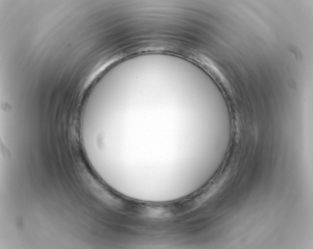 X0000091340794200708101443