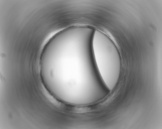 X0000091340795200708101443