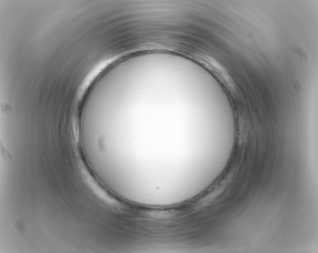 X0000091340796200708101443