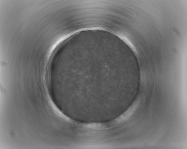 X0000091340797200708101443