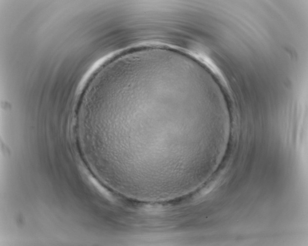 X0000091340799200708101442