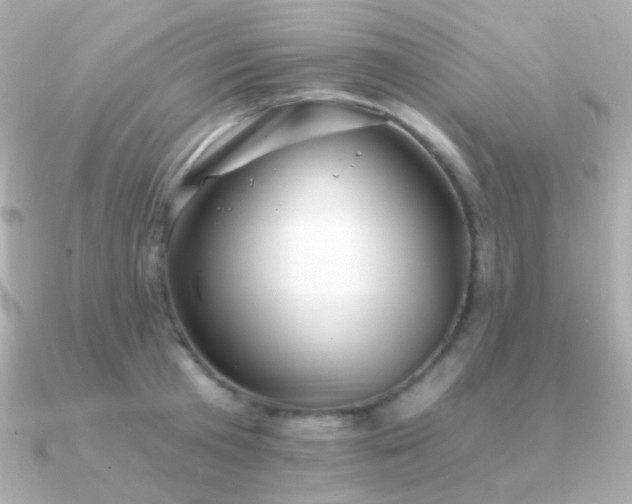 X0000091340801200708101442