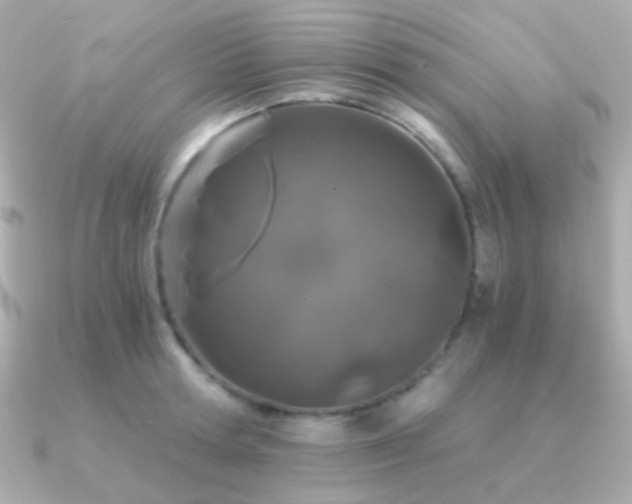 X0000091340802200708101442