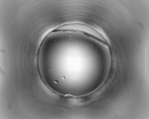 X0000091340805200708101442