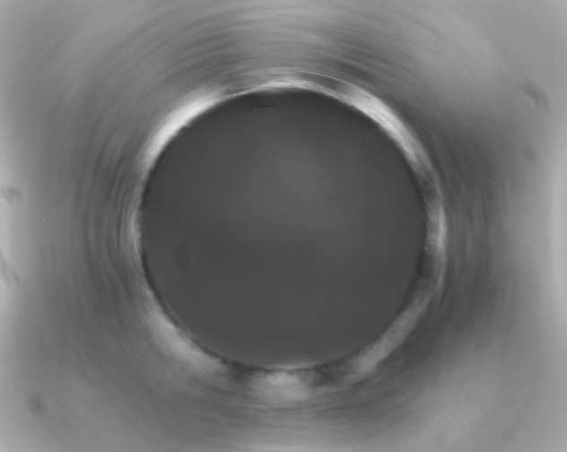X0000091340806200708101442