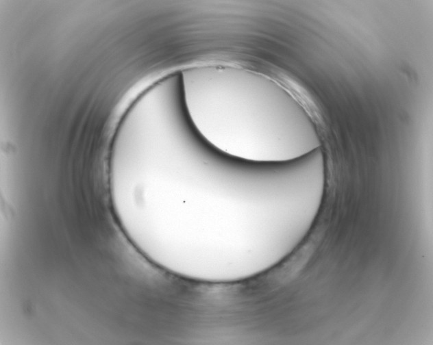 X0000091340808200708101442