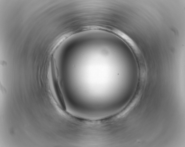 X0000091340809200708101442