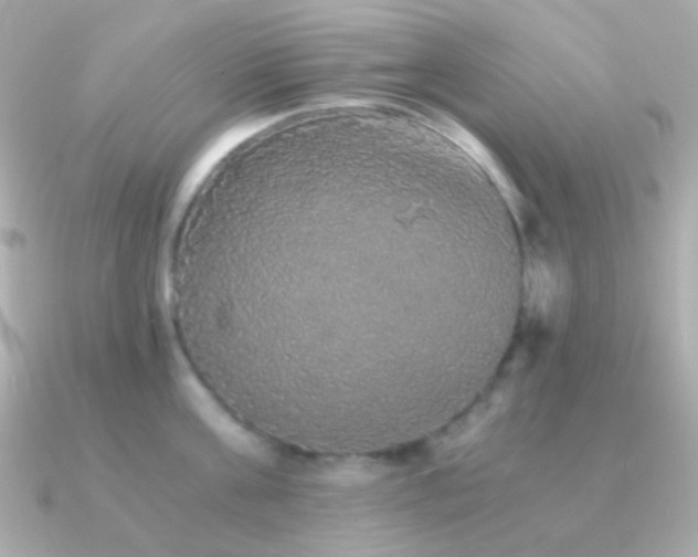 X0000091340811200708101442