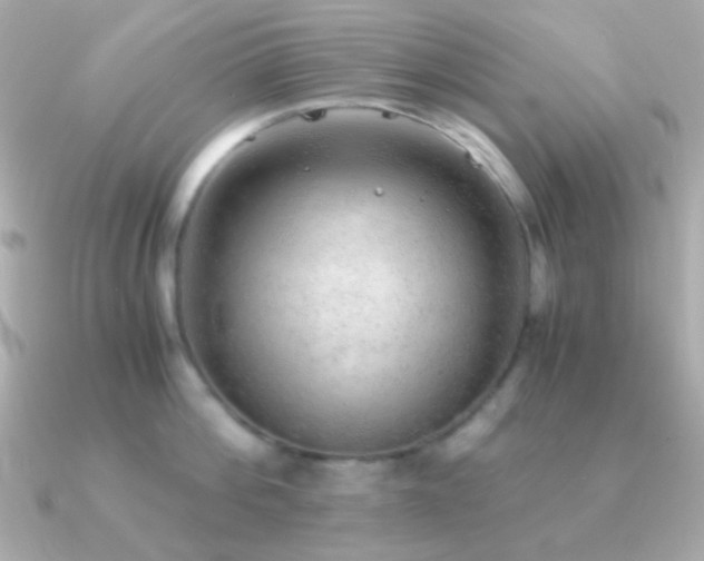 X0000091340812200708101442