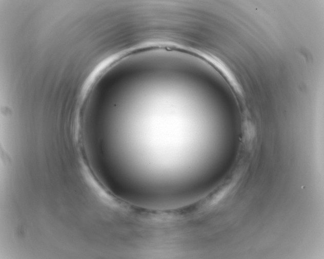 X0000091340815200708101442
