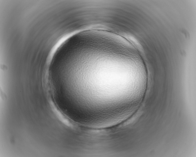 X0000091340816200708101442