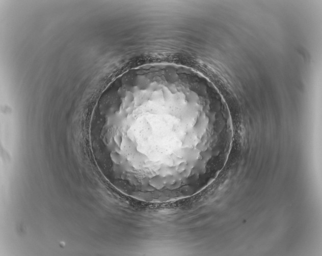 X0000091340817200708101442