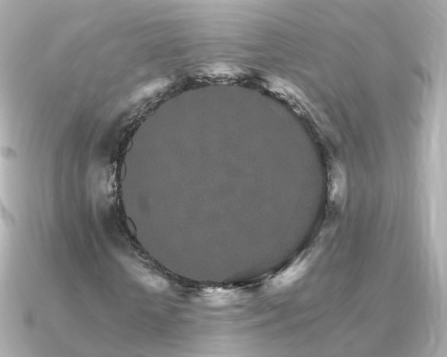 X0000091340818200708101442