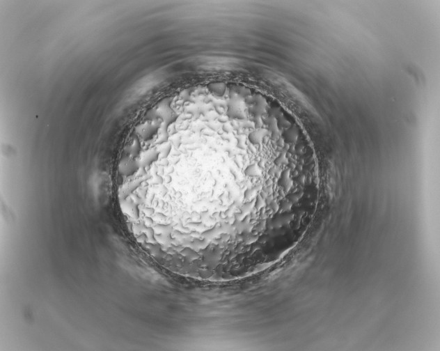X0000091340821200708101442