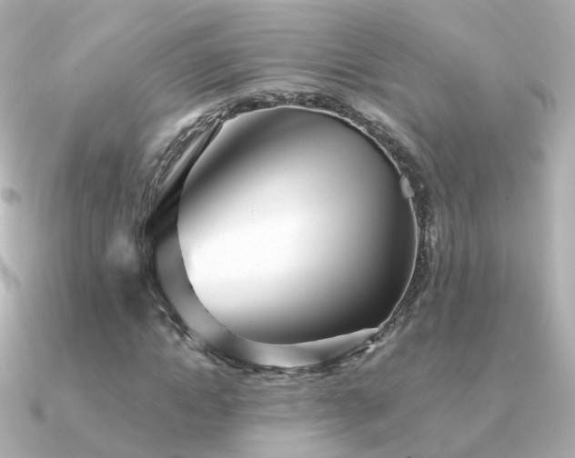 X0000091340822200708101442