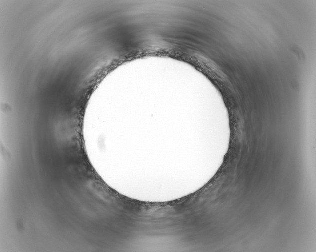 X0000091340824200708101442