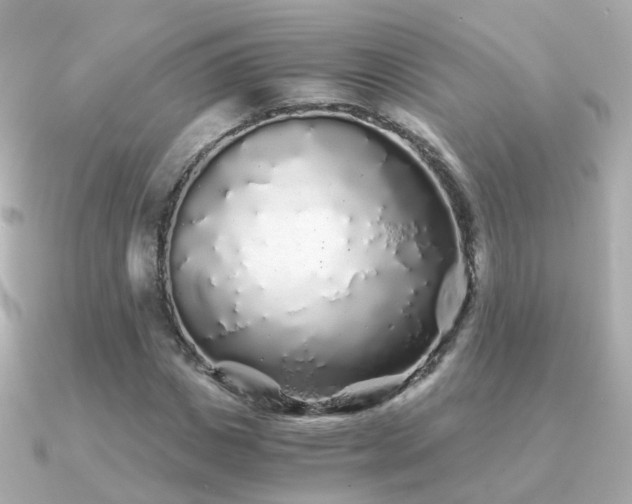 X0000091340825200708101442