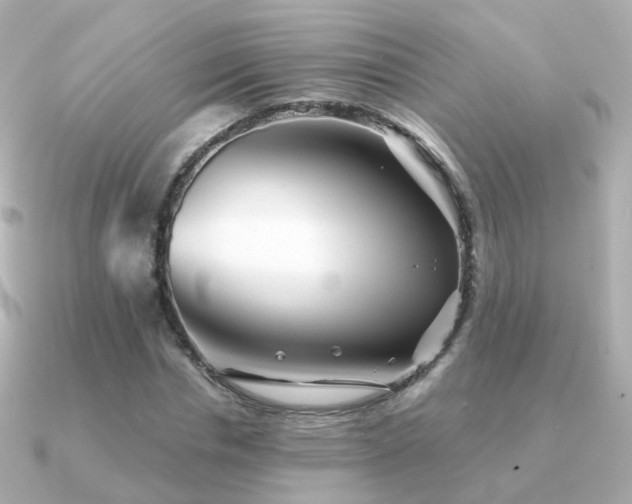 X0000091340826200708101442
