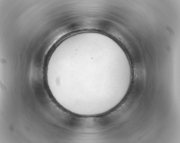 X0000091340828200708101442