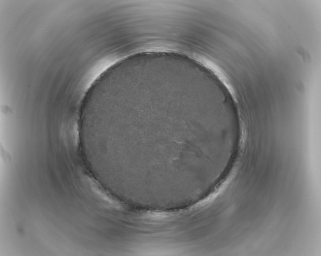 X0000091340829200708101442