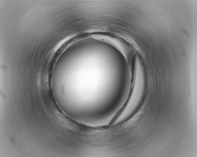X0000091340830200708101442