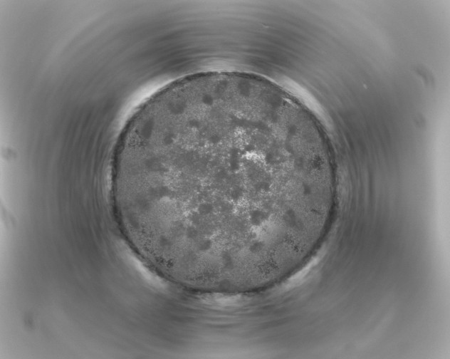 X0000091340831200708101442