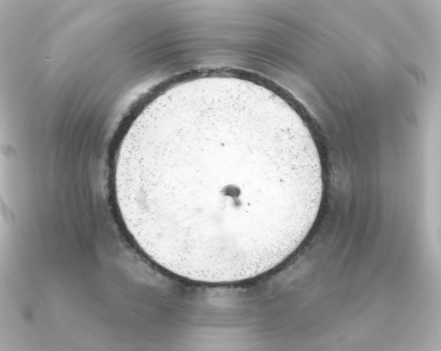 X0000091340832200708101442