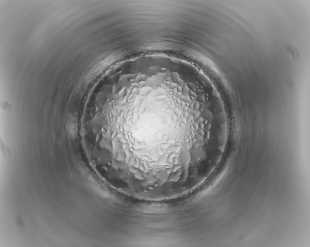 X0000091340833200708101442